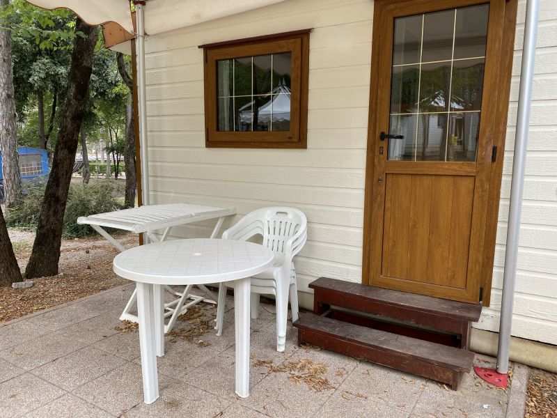 Vinyl Siding Replacement